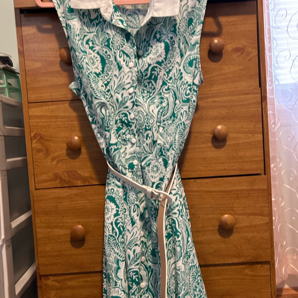 Unique Vinrage Green and White Paisley Swing Dress